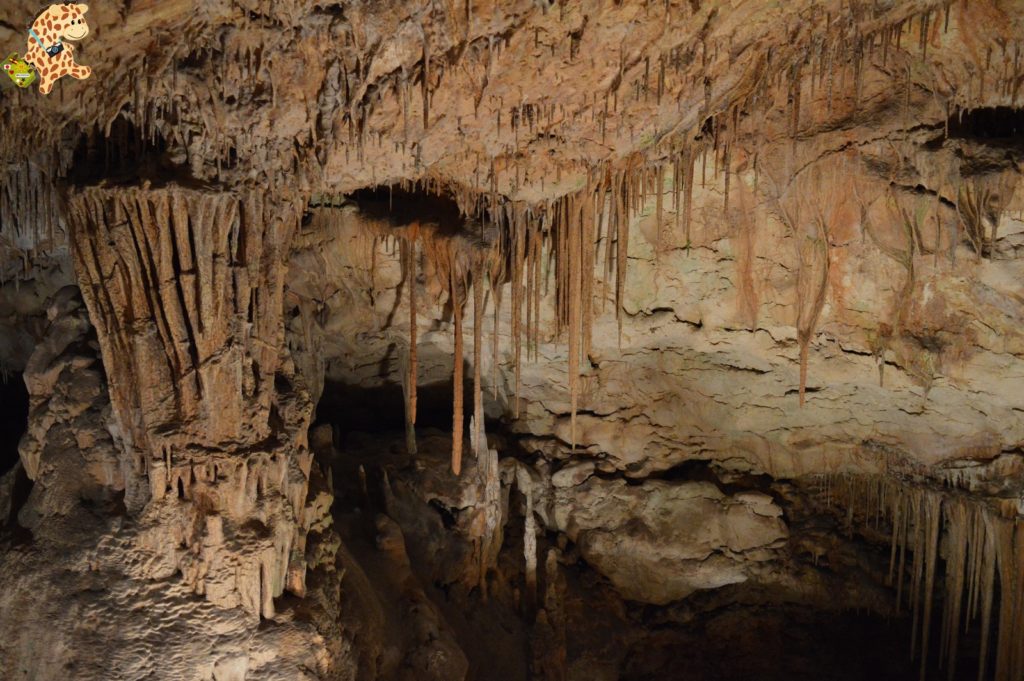deambulandoconartabriamallorca28229 1024x681 - Qué ver en Mallorca - Las Cuevas del Drach y Felanitx