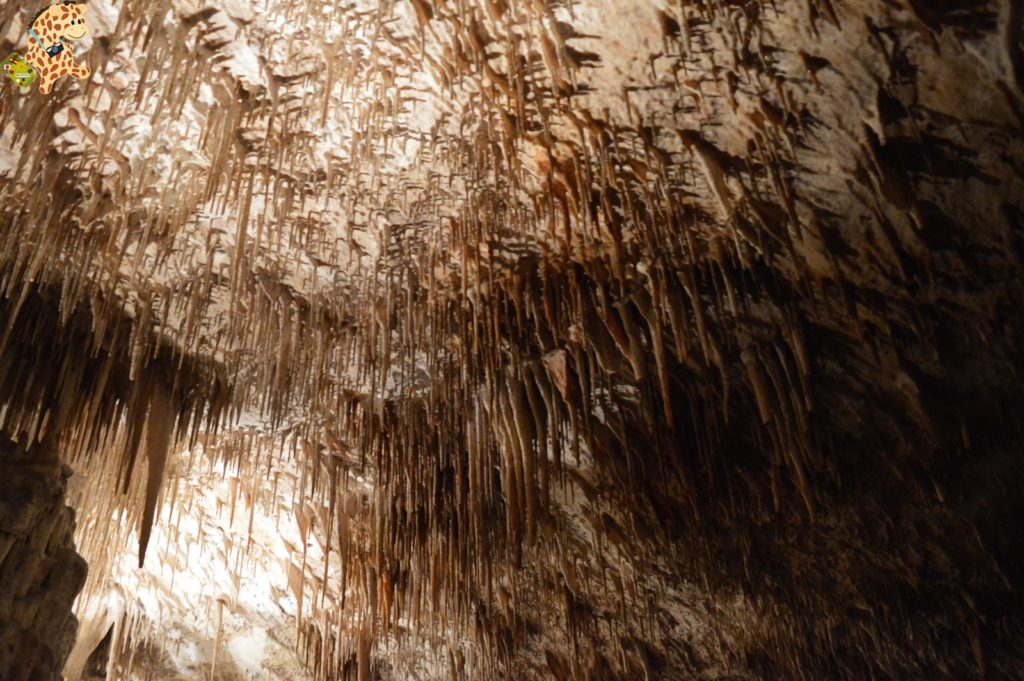 deambulandoconartabriamallorca28329 1024x681 - Qué ver en Mallorca - Las Cuevas del Drach y Felanitx