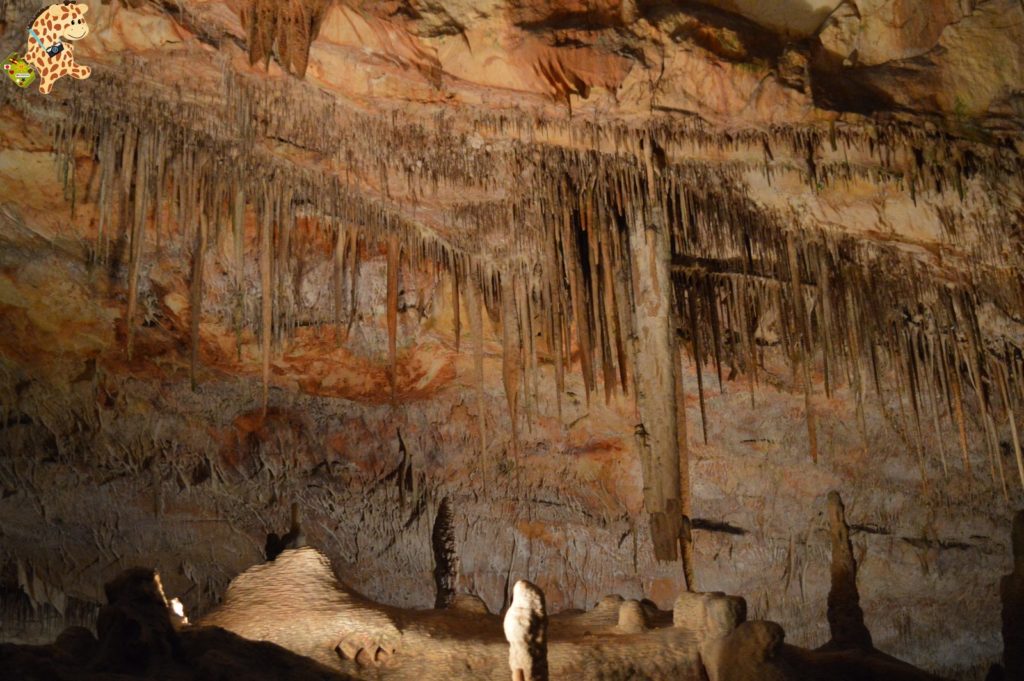 deambulandoconartabriamallorca28429 1024x681 - Qué ver en Mallorca - Las Cuevas del Drach y Felanitx