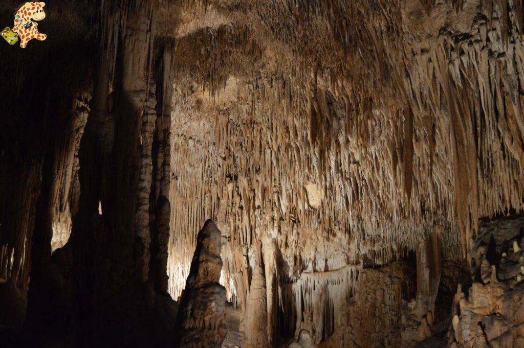 deambulandoconartabriamallorca28529 1024x681 - Qué ver en Mallorca - Las Cuevas del Drach y Felanitx