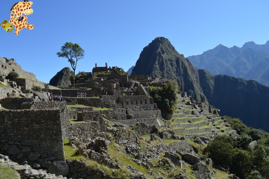 UndC3ADaenMachuPicchu281629 1024x681 - Un día en Machu Picchu