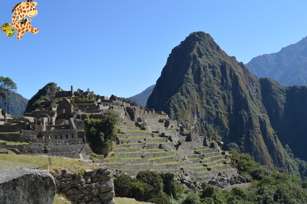 UndC3ADaenMachuPicchu281729 1024x681 - Un día en Machu Picchu