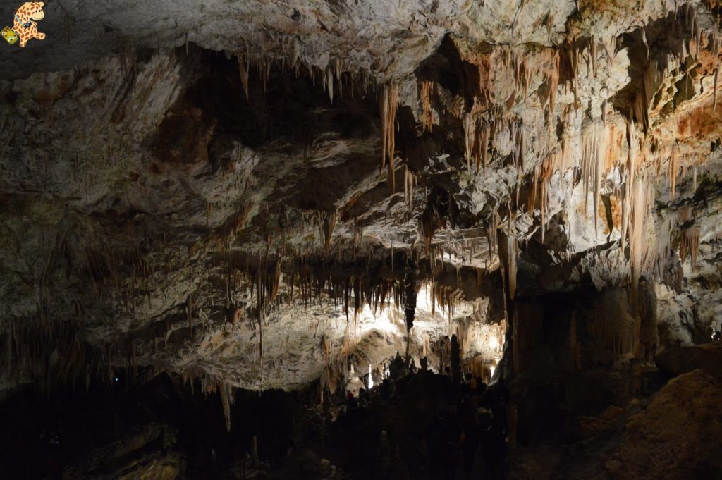 queverenesloveniaen4dias28I2928329 1024x681 - Cuevas de Skocjan y Postojna y castillo de Predjama, Eslovenia