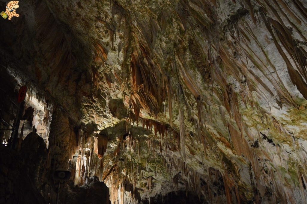 queverenesloveniaen4dias28I2928529 1024x681 - Cuevas de Skocjan y Postojna y castillo de Predjama, Eslovenia