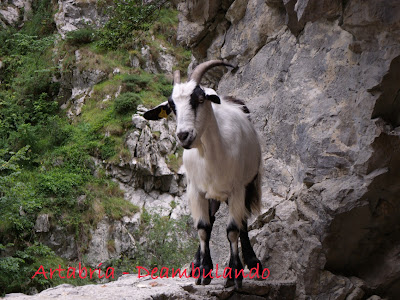 156.- Ruta del Cares