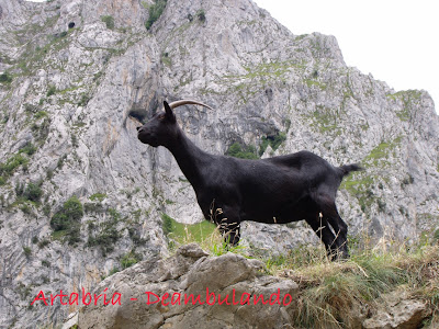156.- Ruta del Cares