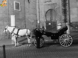 Cinco visitas imprescindibles en Sevilla